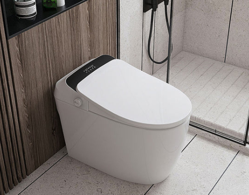Smart Toilet Features