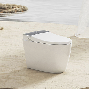 Smart Toilet